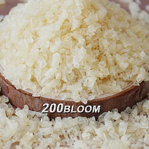 Hot Selling Bulk Halal Animal Bovine Medical Grade Gelatin Powder for Capsules